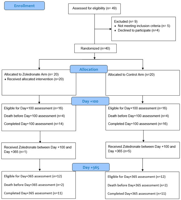 Randomized controlled trial of pre-transplant zoledronate versus observation for prevention of bone loss in allogeneic hematopoietic cell transplantation.