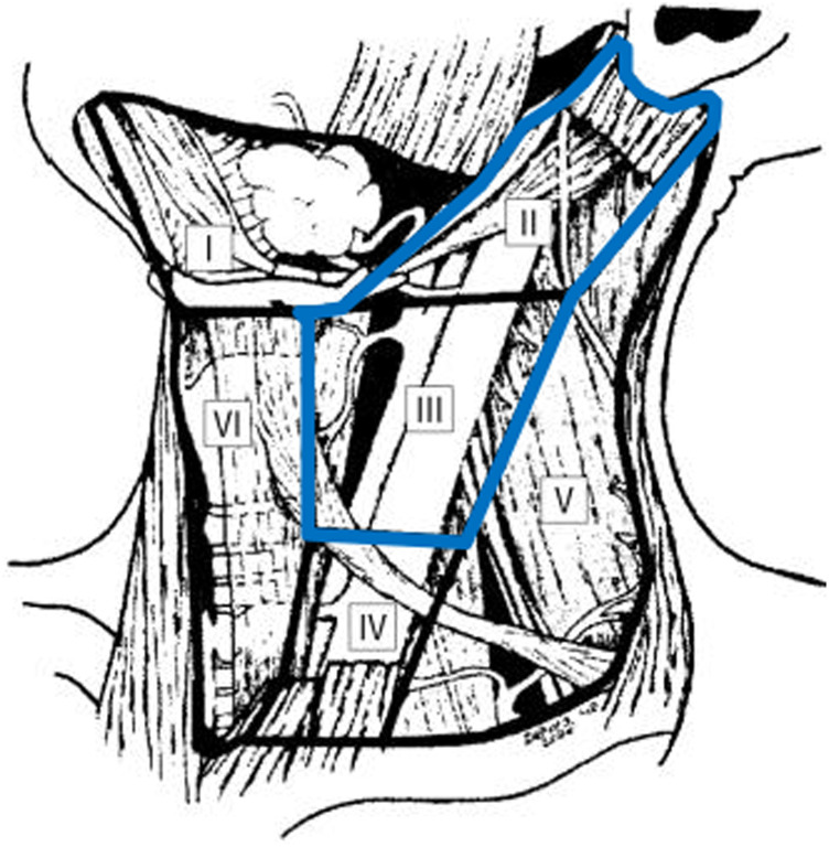 Deep cervical lymph nodes in Parkinson's disease and atypical Parkinson's disease: A potential ultrasound biomarker for differential diagnosis.