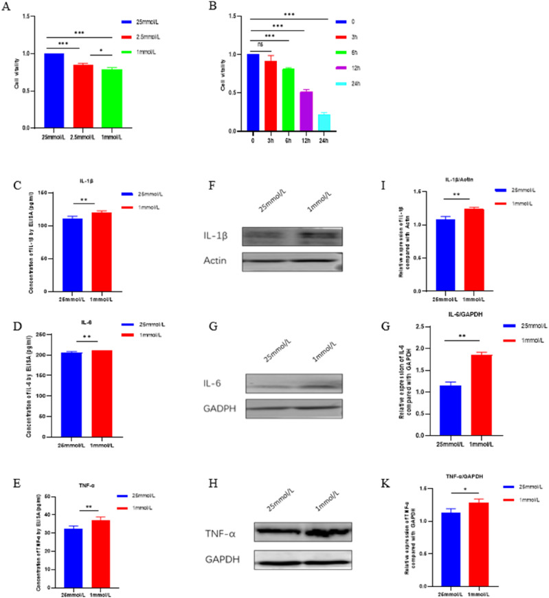 Severe hypoglycaemia-induced microglial inflammation damages microvascular endothelial cells, leading to retinal destruction.