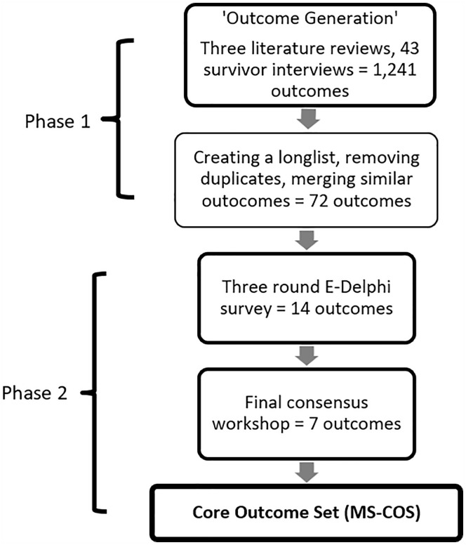 The Modern Slavery Core Outcome Set: A Survivor-Driven Consensus on Priority Outcomes for Recovery, Wellbeing, and Reintegration.