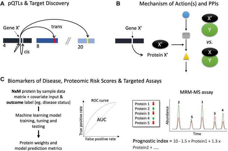 Promises and Challenges of populational Proteomics in Health and Disease.