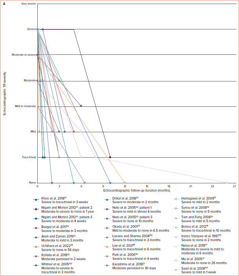 Unusual Presentations of Thyrotoxic Tricuspid and Mitral Regurgitations in 62 Adults: A Systematic Review of Case Reports with In-depth Pathophysiological Review.