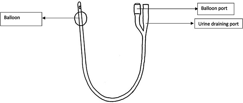 A Foley catheter 'the jack of all trades': a literature review of its common and novel uses.