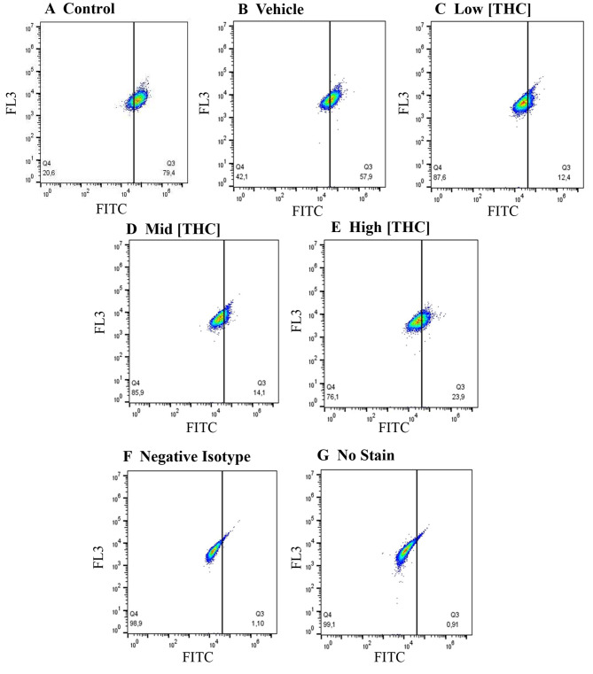 DNA methylation, but not microRNA expression, is affected by in vitro THC exposure in bovine granulosa cells.