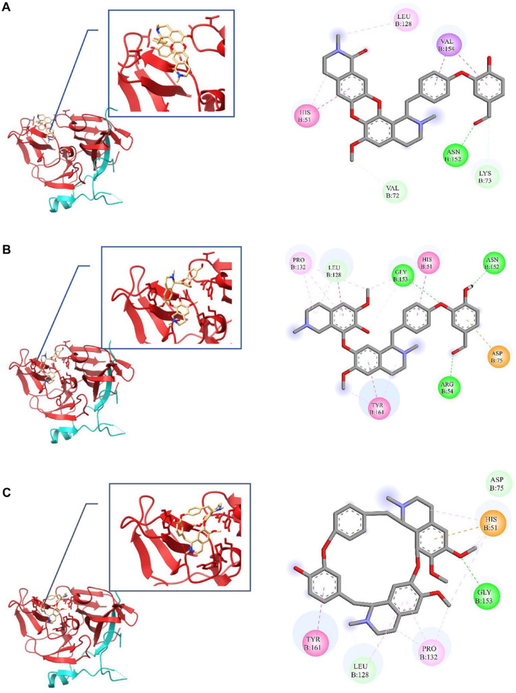 Computational Exploration of <i>Berberis lycium</i> Royle: A Hidden Treasure Trove for Antiviral Development.