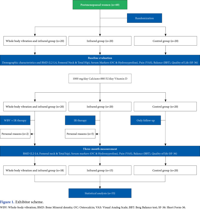 Effects of whole-body vibration in horizontal position on bone, quality of life, and balance in postmenopausal osteoporosis.