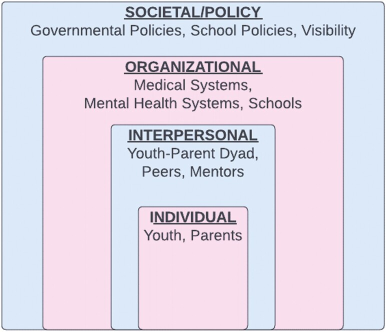 Community-Derived Recommendations for Improving Gender Affirmation of Black and Latine Transgender/Nonbinary Youth.