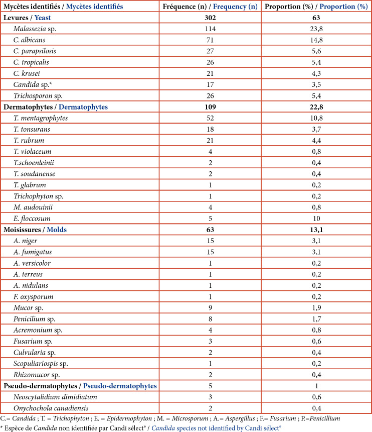 [Profile of fungal species involved in superficial cutaneous mycoses in Lomé (Togo)].
