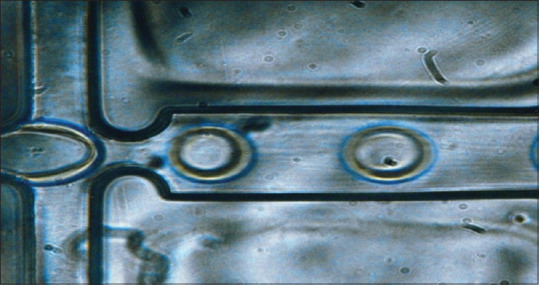 Microstructured Porous Capacitive Bio-pressure Sensor Using Droplet-based Microfluidics.