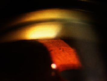Abstract Image
