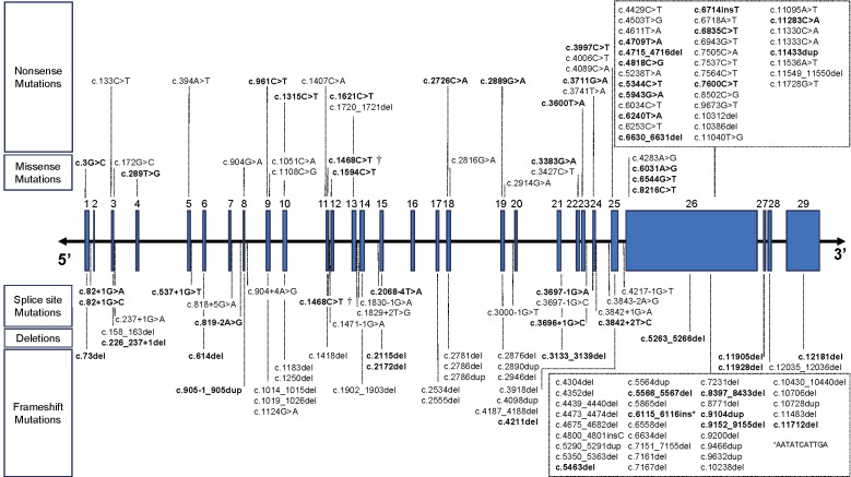 Current Diagnosis and Management of Familial Hypobetalipoproteinemia 1.