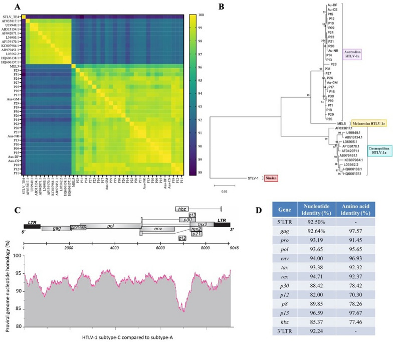 High level of genomic divergence in orf-I p12 and hbz genes of HTLV-1 subtype-C in Central Australia.