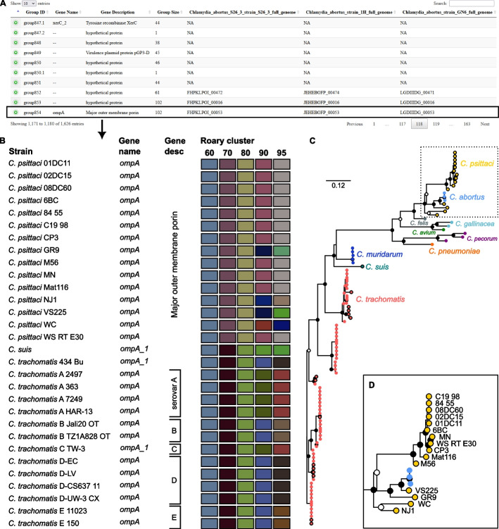 RIBAP: a comprehensive bacterial core genome annotation pipeline for pangenome calculation beyond the species level.