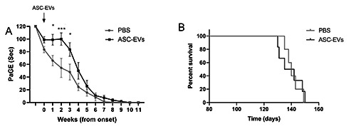 Adipose mesenchymal stem cells-derived extracellular vesicles exert their preferential action in damaged central sites of SOD1 mice rather than peripherally.