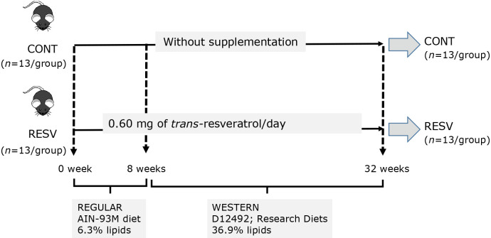 <i>Trans</i>-resveratrol reduced hepatic oxidative stress in an animal model without inducing an upregulation of nuclear factor erythroid 2-related factor 2.