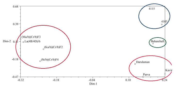 Genetic Diversity and Population Structure of Primary Tritipyrum Lines in Comparison with Bread Wheat Varieties and Triticale Lines using SCoT Markers.