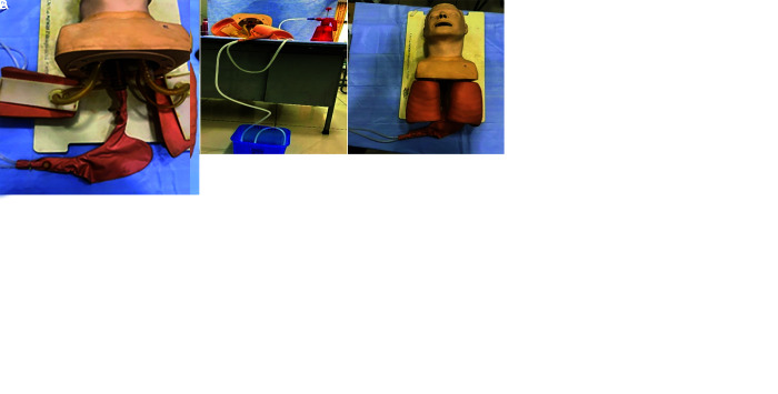 An Indigenous Suction-assisted Laryngoscopy and Airway Decontamination Simulation System.