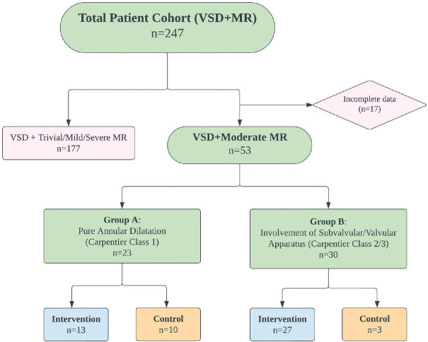 Moderate mitral regurgitation in association with ventricular septal defect in children: Does it warrant mitral valve repair?