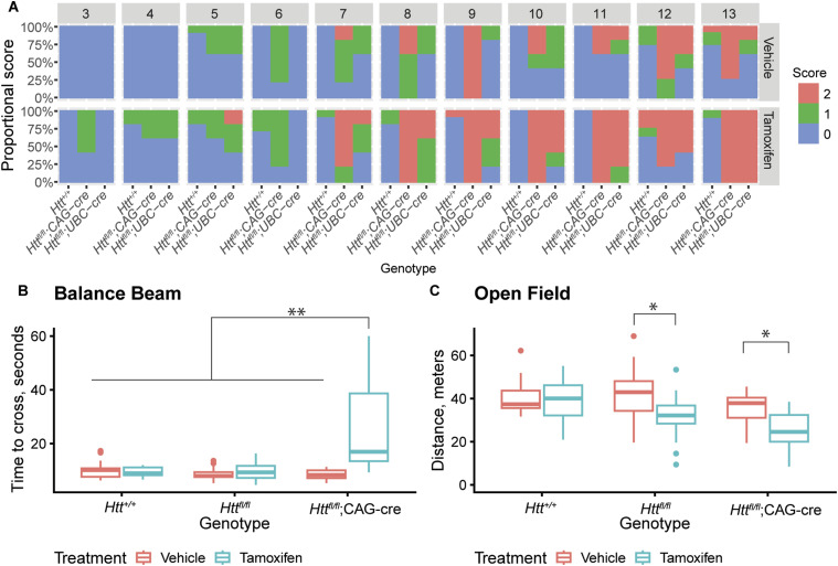 Global huntingtin knockout in adult mice leads to fatal neurodegeneration that spares the pancreas.
