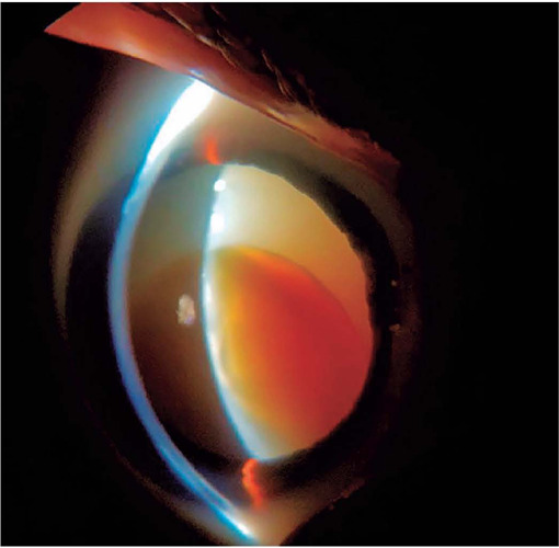 Abstract Image