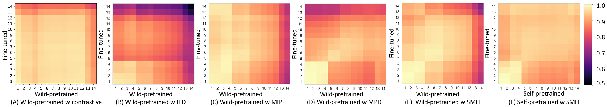 Self-supervised pretraining in the wild imparts image acquisition robustness to medical image transformers: an application to lung cancer segmentation.