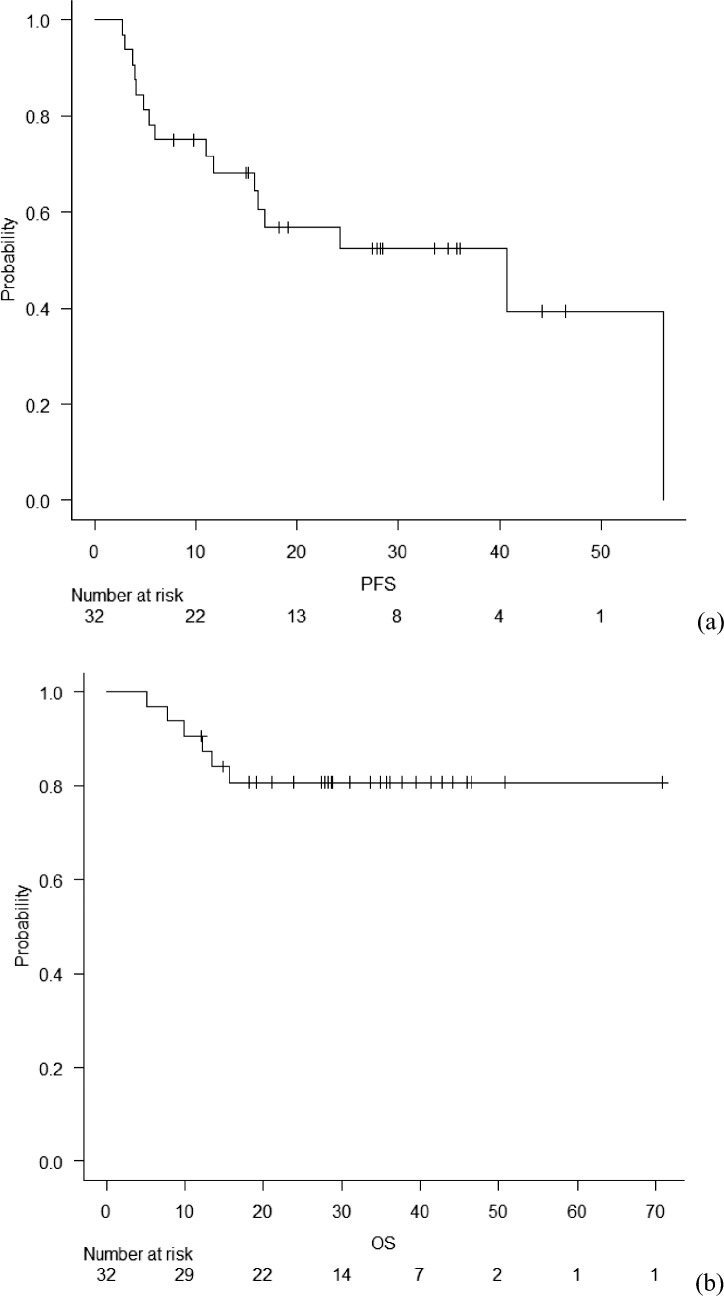 Preoperative docetaxel, cisplatin, and 5-fluorouracil for resectable locally advanced esophageal and esophagogastric junctional adenocarcinoma.