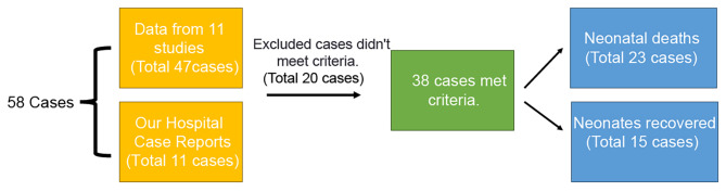 Late-onset sepsis in newborns caused by Bacillus Cereus: a case report and literature review.