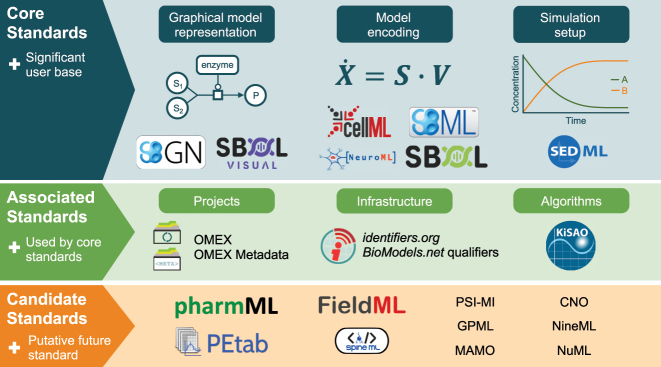 Specifications of standards in systems and synthetic biology: status, developments, and tools in 2024.