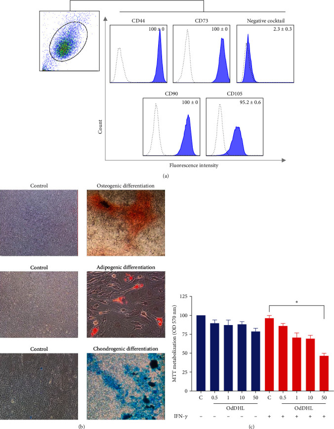 IFN-<i>γ</i>-Licensed Mesenchymal Stem Cells Are More Susceptible to Death when Exposed to Quorum-Sensing Signal Molecule OdDHL and Less Effective in Inhibiting the Growth of <i>Pseudomonas aeruginosa</i>.