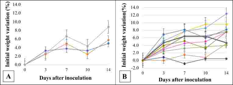 Testicular damage without clinical manifestations in BALB/c mice experimentally infected with Zika virus.