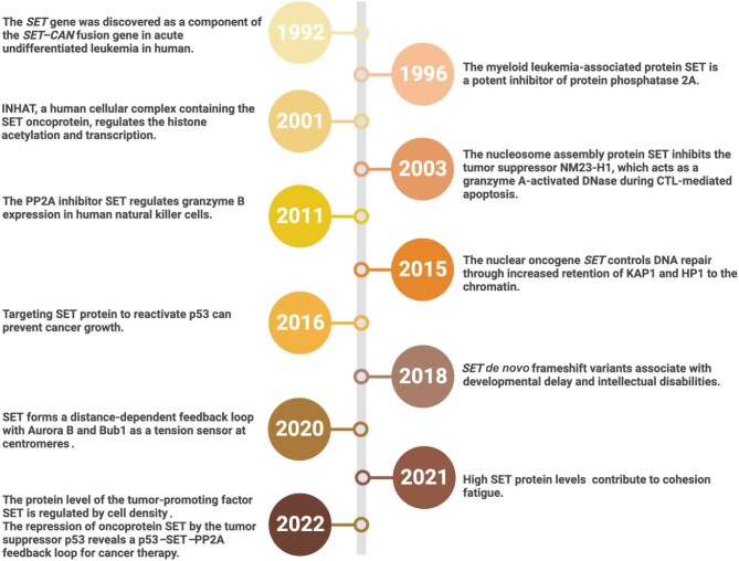 The next decade of SET: from an oncoprotein to beyond.