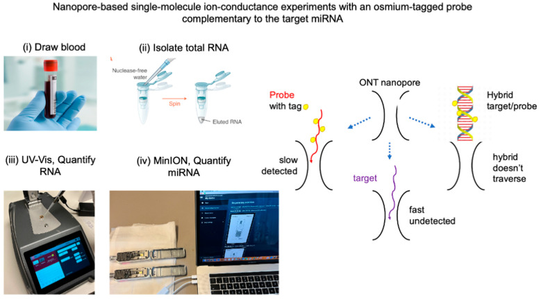 High Sensitivity and Specificity Platform to Validate MicroRNA Biomarkers in Cancer and Human Diseases.