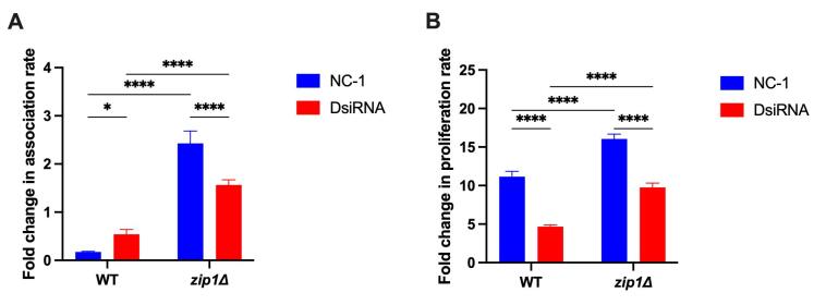 The influence of amoeba metal homeostasis on antifungal activity against Cryptococcus gattii.