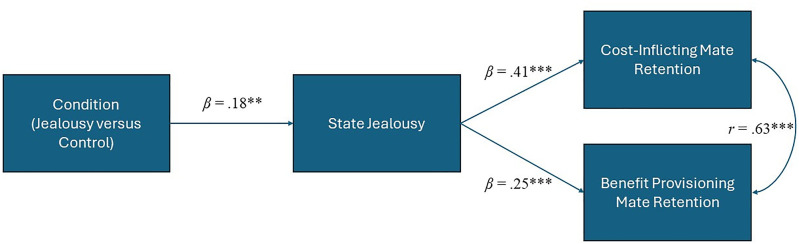An Experimental Test of Jealousy's Evolved Function: Imagined Partner Infidelity Induces Jealousy, Which Predicts Positive Attitude Towards Mate Retention.