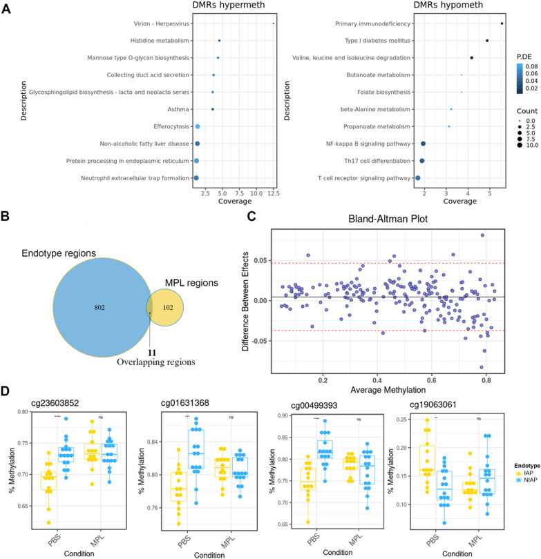 Respiratory infection- and asthma-prone, low vaccine responder children demonstrate distinct mononuclear cell DNA methylation pathways.