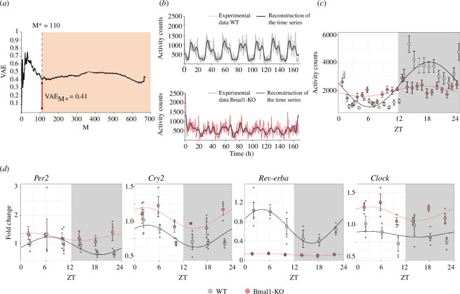 Lack of Bmal1 leads to changes in rhythmicity and impairs motivation towards natural stimuli.