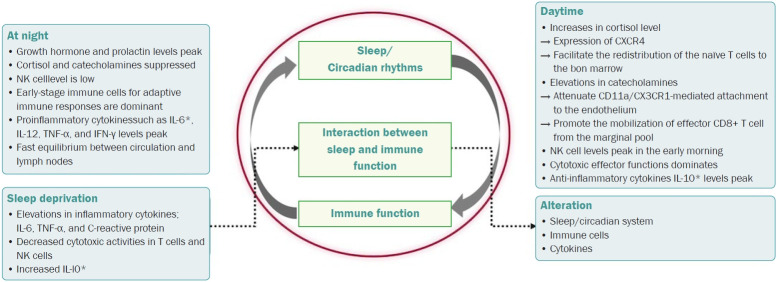 Sleep and neuroimmunology: a narrative review.