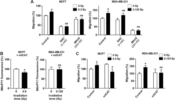 Subclinical dose irradiation triggers human breast cancer migration via mitochondrial reactive oxygen species.