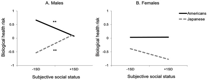 When High Subjective Social Status Becomes a Burden: A Japan-U.S. Comparison of Biological Health Markers.
