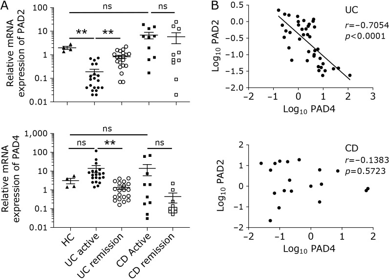 Reciprocal regulation of protein arginine deiminase 2 and 4 expression in the colonic mucosa of ulcerative colitis.