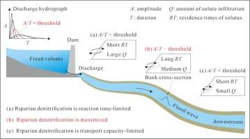 Regulating flow to maximize riverine nitrogen removal by riparian zones downstream of reservoirs