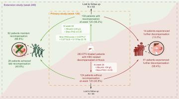 Durability and on-treatment predictors of recompensation in entecavir-treated patients with hepatitis B and decompensated cirrhosis