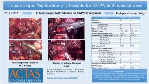 Laparoscopic approach for xanthogranulomatous pyelonephritis and pyonephrosis