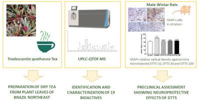 Neuroprotective effects of Tradescantia spathacea tea bioactives in Parkinson’s disease: In vivo proof-of-concept