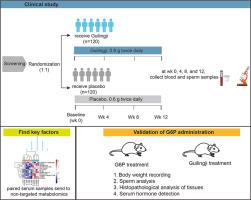 The therapeutic effect and metabolic mechanism analysis of Guilingji on idiopathic oligo-asthenoteratozoospermia