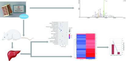 The chemical composition of Diwu YangGan capsule and its potential inhibitory roles on hepatocellular carcinoma by microarray-based transcriptomics