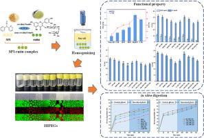 High internal phase emulsions gels stabilized by soy protein isolate and rutin complexes: Encapsulation, interfacial properties and in vitro digestibility