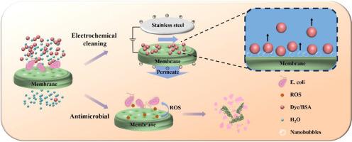 Modified multi-walled carbon nanotube and silanized MXene electrostatic assembly enables antimicrobial, conductive Mixed Matrix Membranes for efficient electrochemical cleaning