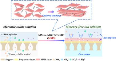 Highly efficient and selective nitrate and Hg(II) removal from wet oxidation flue gas purification wastewater using bifunctional MXene nanofiltration membrane