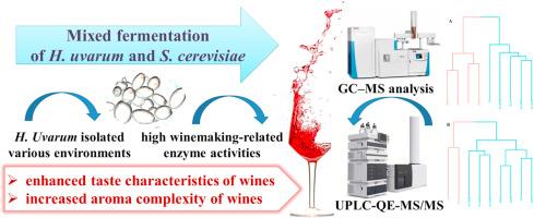 Metabolomics and flavor diversity in Cabernet Sauvignon wines fermented by various origins of Hanseniaspora uvarum in the presence and absence of Saccharomyces cerevisiae